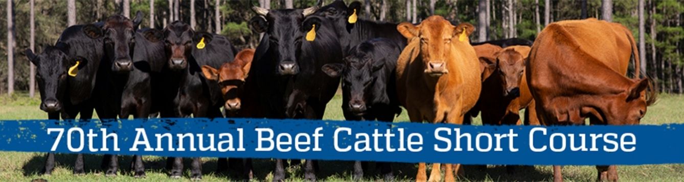 70th Annual Beef Cattle Short Course