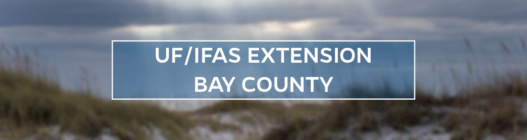 UF/IFAS Extension Bay County