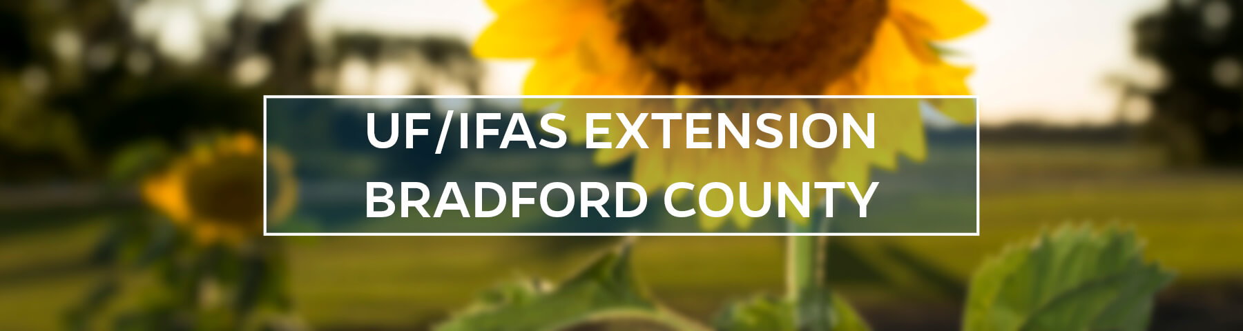 UF/IFAS Extension Bradford County