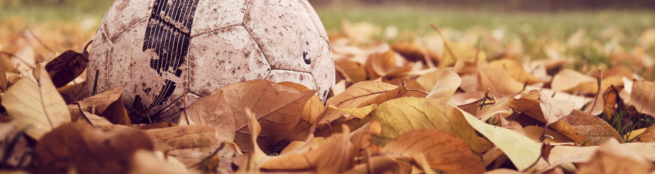 soccer ball in leaves