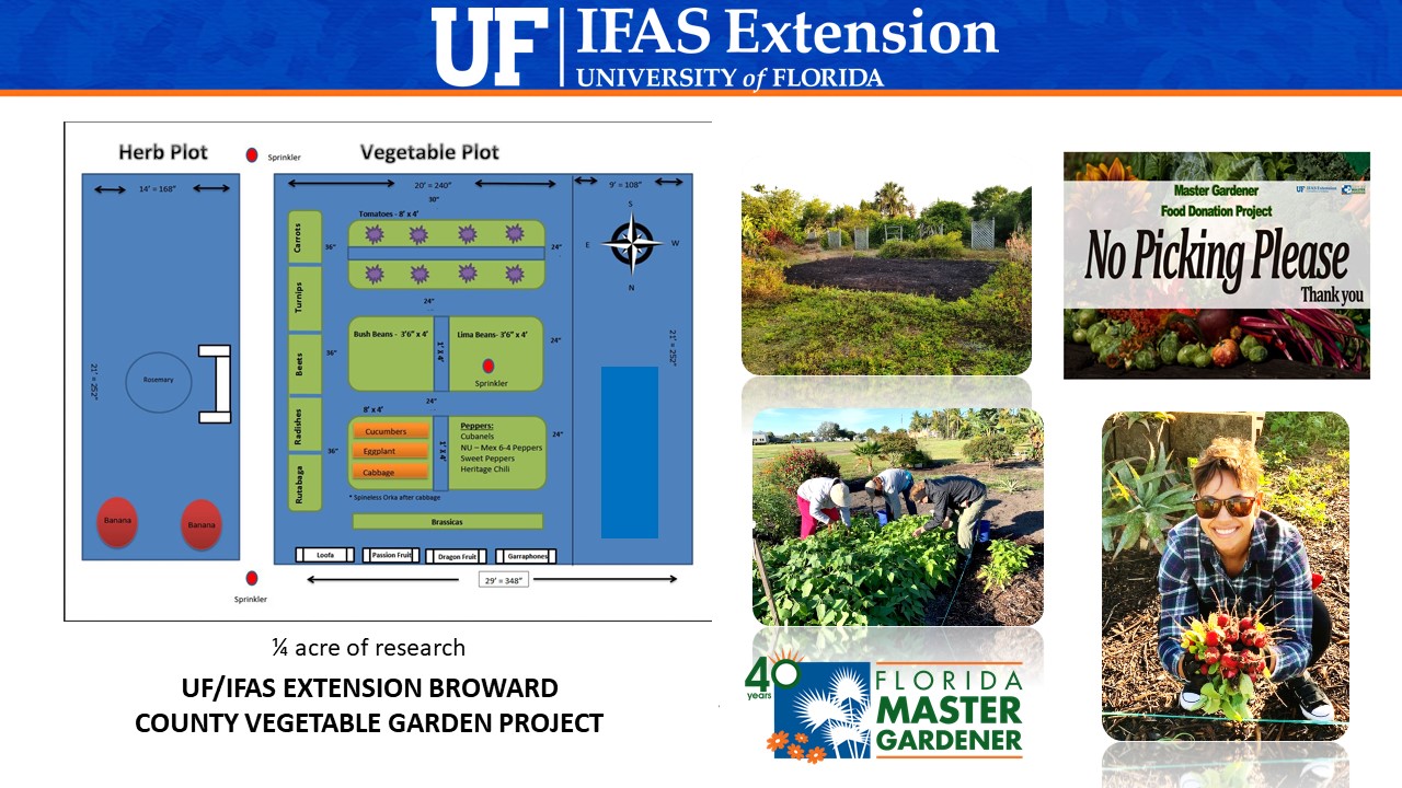 UF/IFAS Extension Master Gardener Legacy Award Grant Winners - UF/IFAS ...