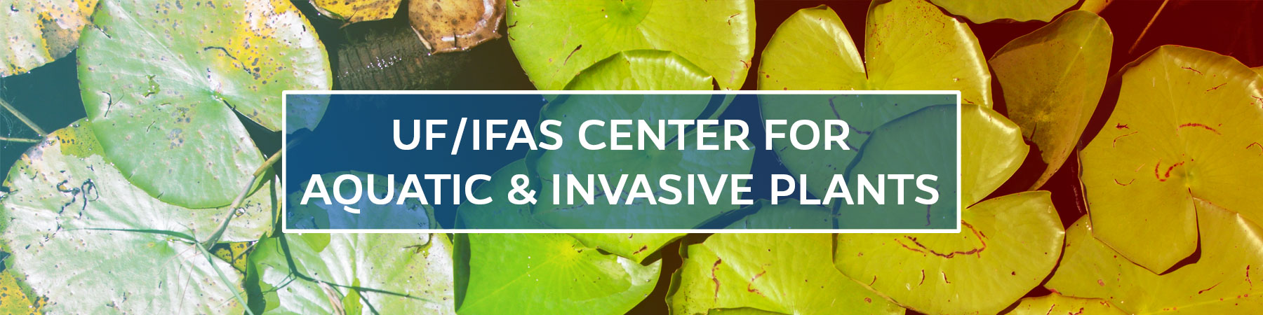 UF/IFAS Center for Aquatic and Invasive Plants