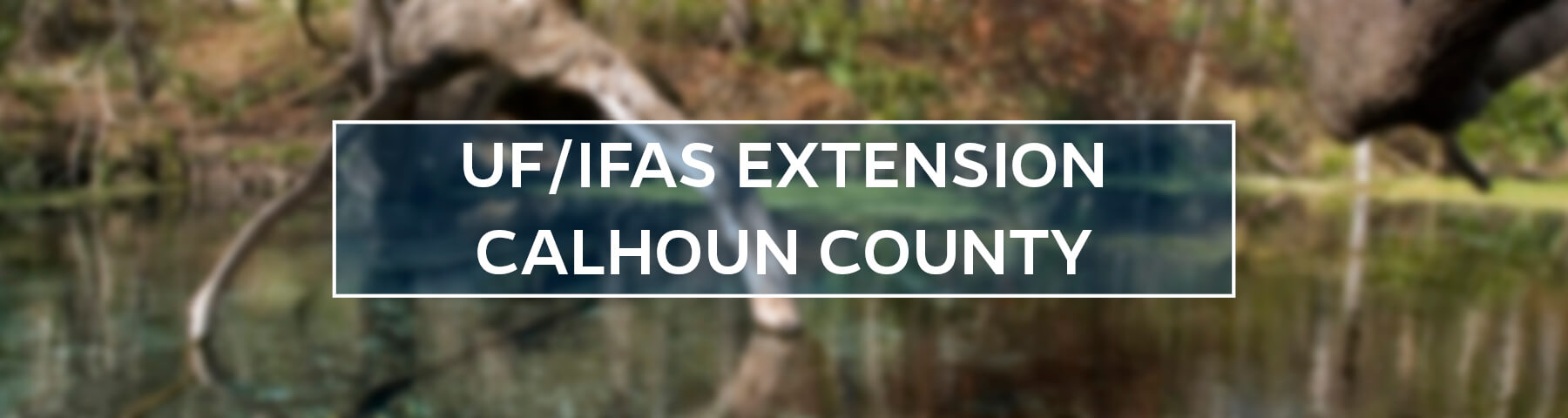 UF/IFAS Extension Calhoun County