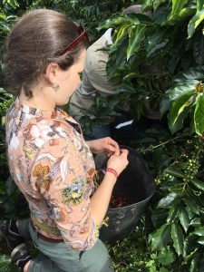 CALS alumna Kendra Levine  on a coffee farm