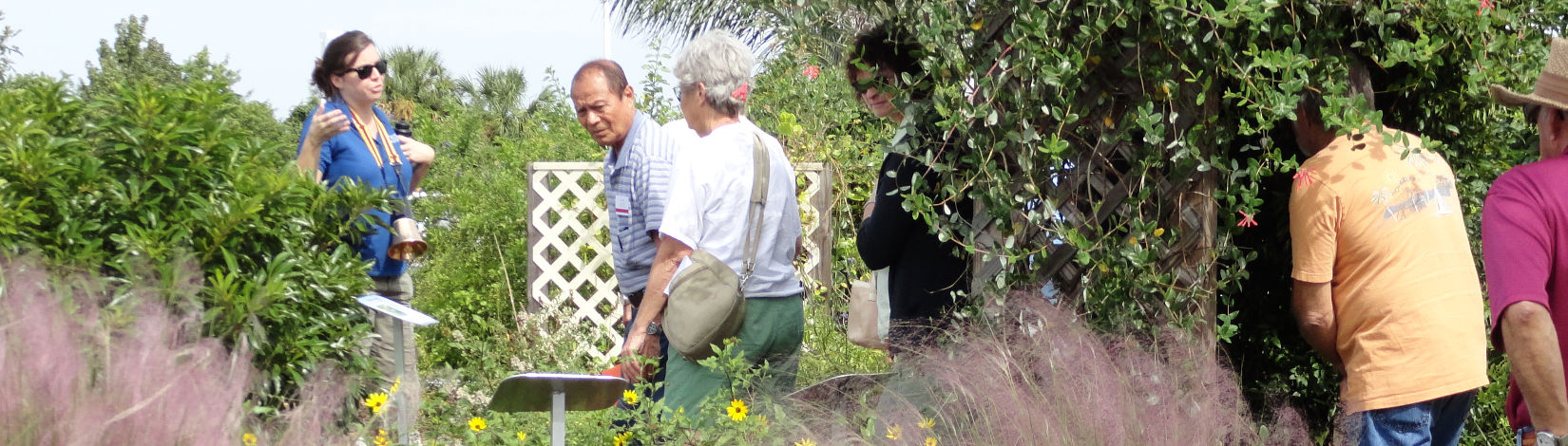 Starting Over From Scratch The Florida Friendly Landscaping Way