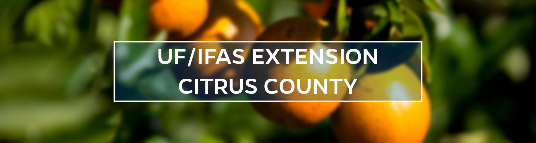 UF/IFAS Extension Citrus County