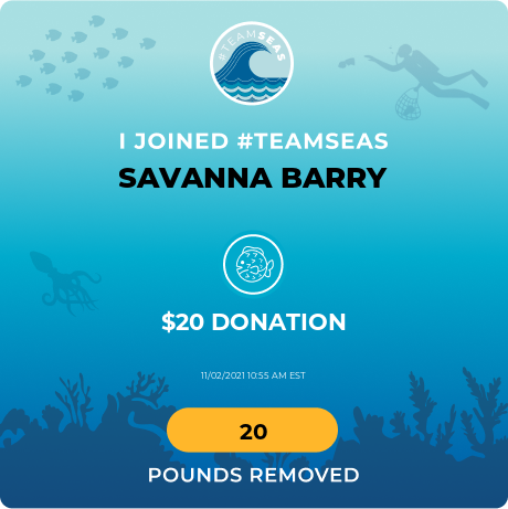 a graphic of a donation to team seas