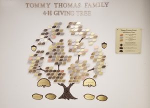 A Donor Tree on a white wall. 