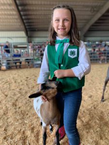 A 4-H member with their Goat