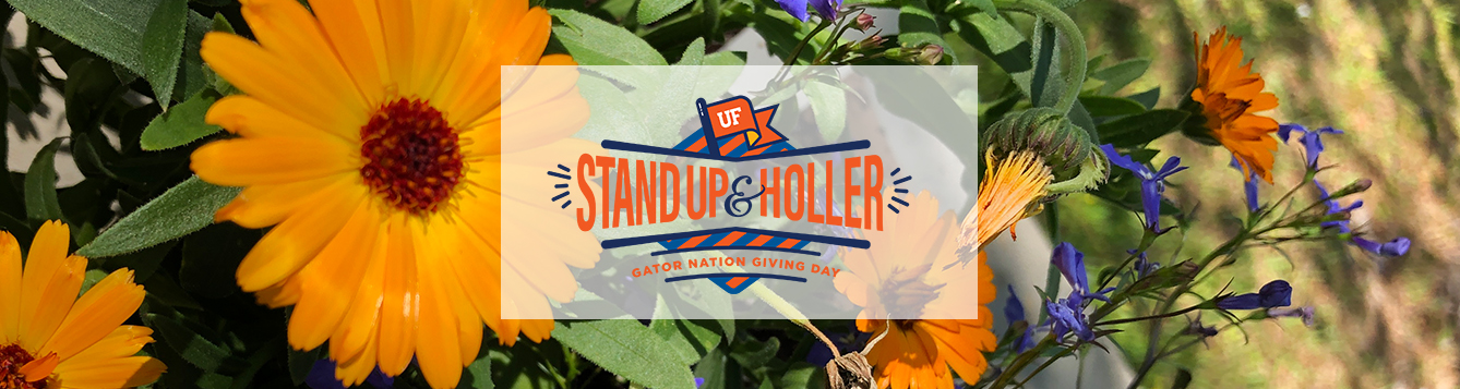 Stand Up & Holler Blog Header