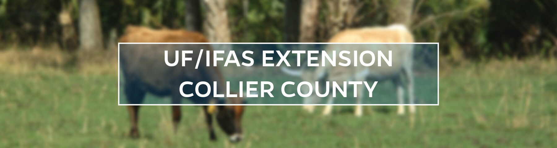 UF/IFAS Extension Collier County