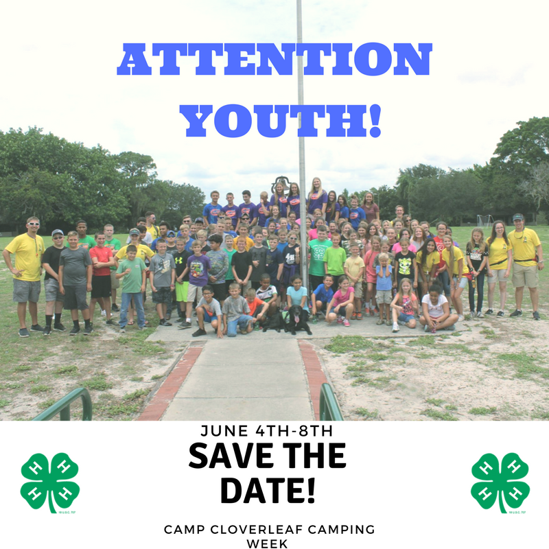 EVENT Collier County 4H Camp Cloverleaf 2018 UF/IFAS Extension