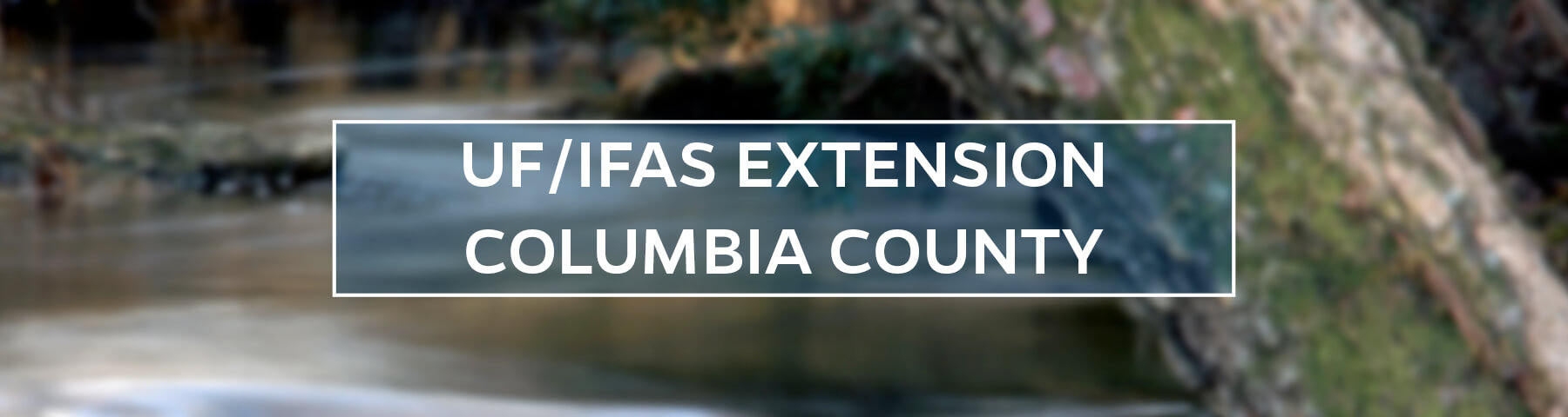 UF/IFAS Extension Columbia County