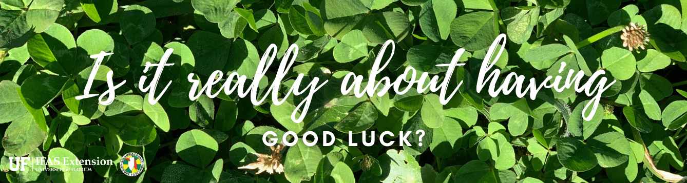 A patch of clover with the words "Is it really about having good luck?"
