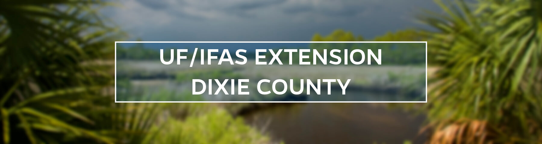 UF/IFAS Extension Dixie County