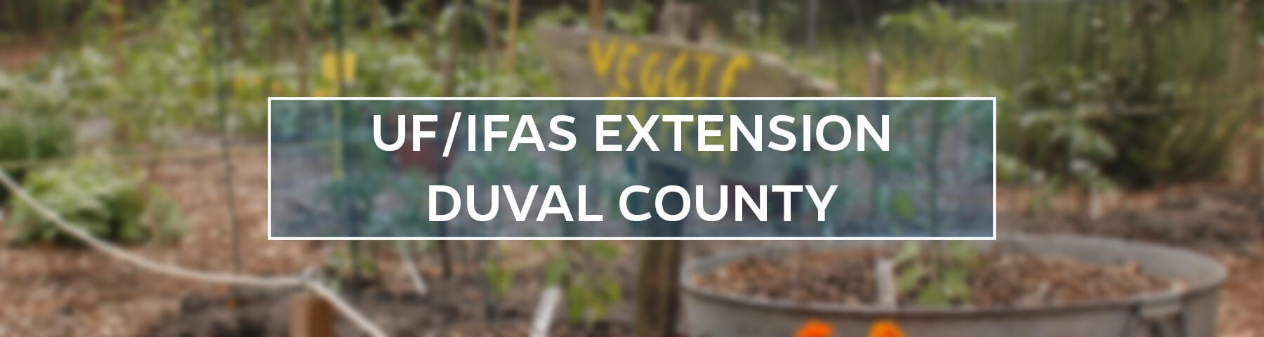 UF/IFAS Extension Duval County