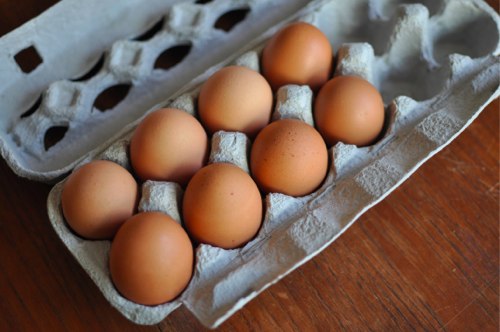 An "Egg-cellent" Business: Selling Your Backyard Eggs - UF ...