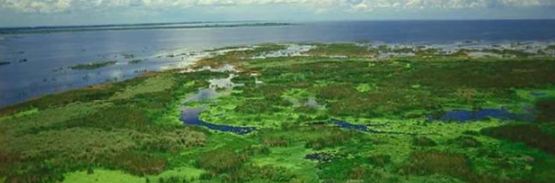 Figure 1. A photo of Lake Okeechobee, looking out over the western marsh region to the open waters of the large lake. Credit: South Florida Water Management District