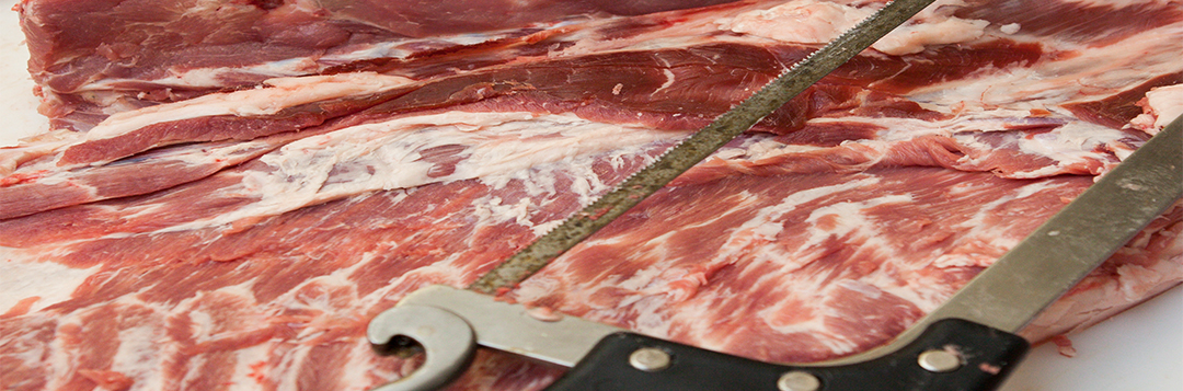 Raw pork being butchered at the University of Florida's meat lab.