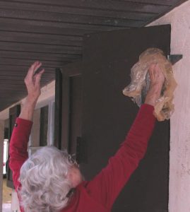 Photo of a woman reaching up with a plasti grocery bag over her hand presumably to remove a Cuban tree frog from a door jamb.