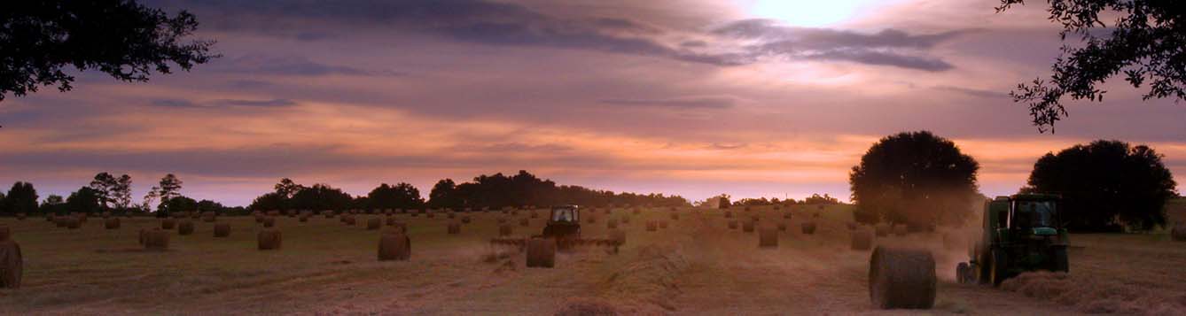 landscape view of tractors working in hay field as the sun sets
