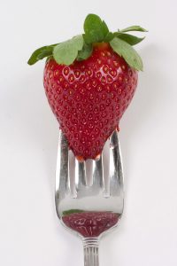 A single Festival variety strawberry on a fork. Fragaria, fruits, foods, red, sweets, healthy eating. UF/IFAS Photo: Tyler Jones.