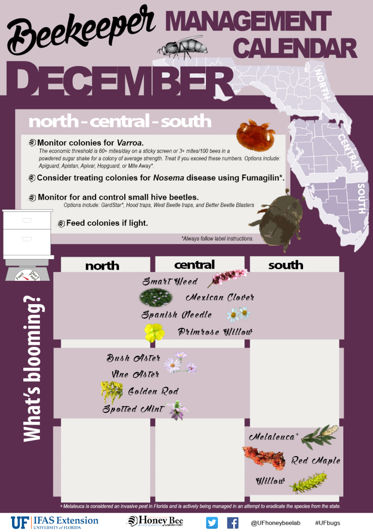 Beekeeper Management Calendar December UF/IFAS Entomology and