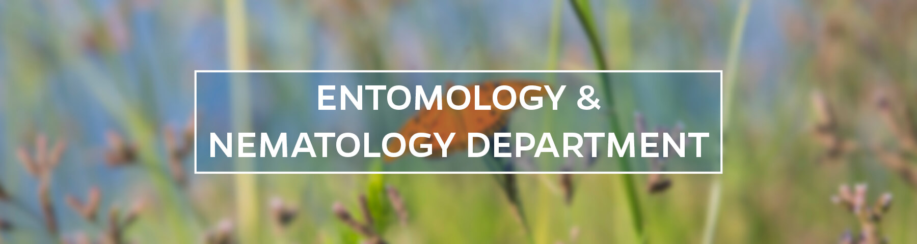  UF/IFAS Entomology and Nematology Department