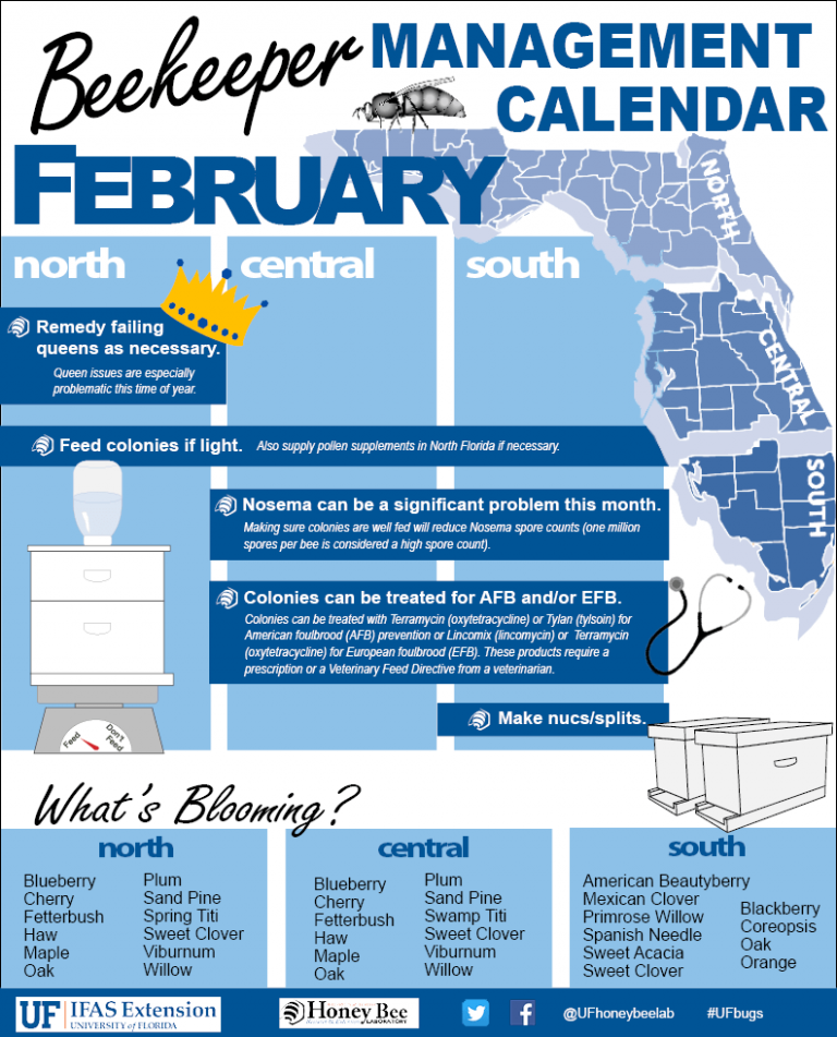 Beekeeper Management Calendar February UF/IFAS Entomology and
