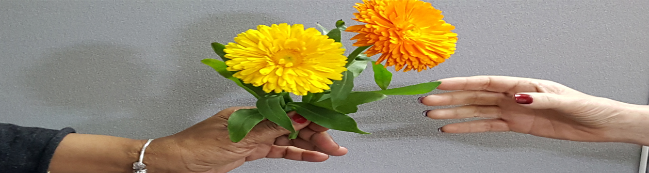 hand of one person offering a yellow flower and an orange flower to another person's hand