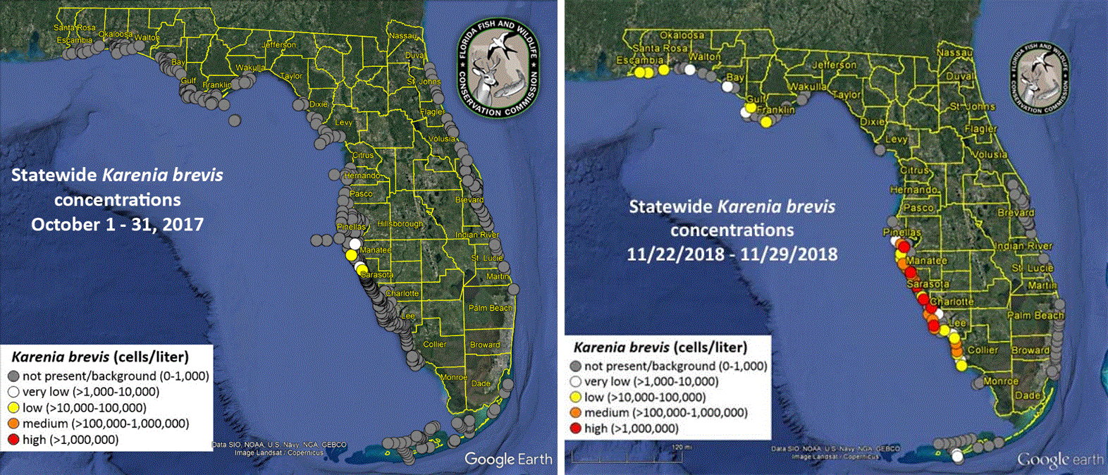 Understanding the 20172018 Florida Red Tide UF/IFAS Extension