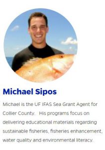 michael sipos author image and profile