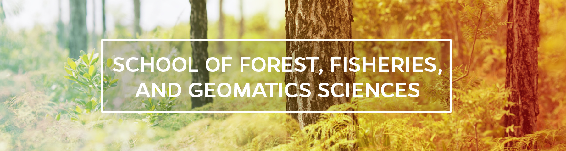 UF/IFAS School of Forest, Fisheries, and Geomatics Sciences