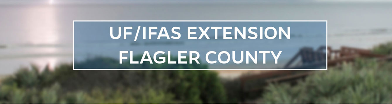 UF/IFAS Extension Flagler County