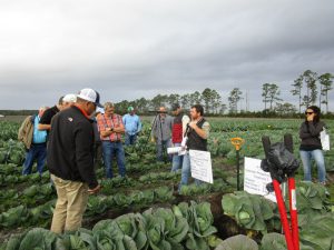 man talking to audience in cabbage field