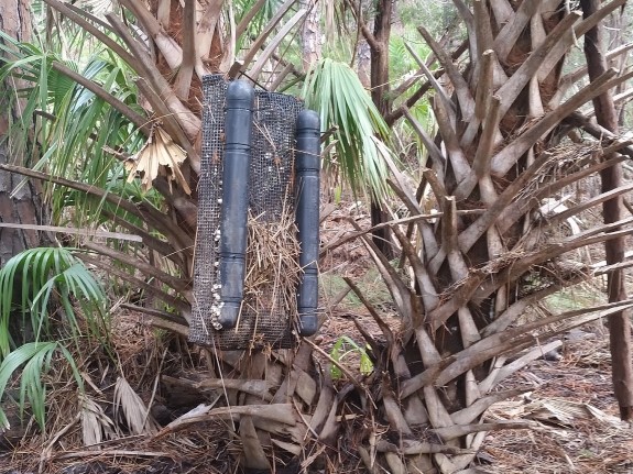 oyster grow-bag found in woods hanging from Hurricane Michael