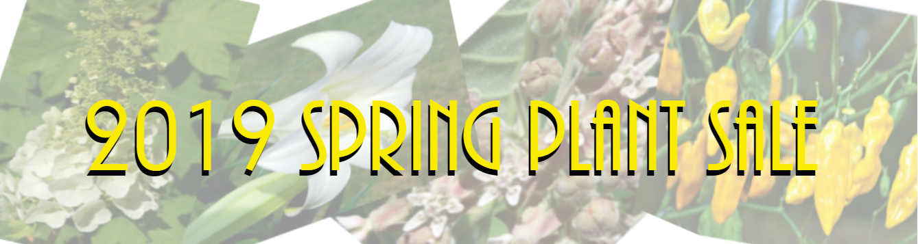 Spring Plant Sale feat 2019
