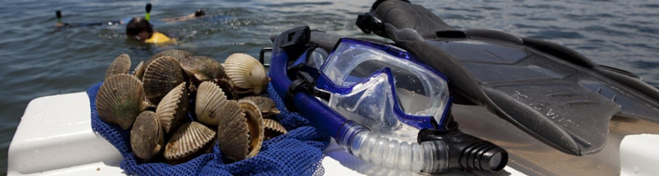 Snorkeling gear and a bag of freshly caught scallops rest on a boat ledge.