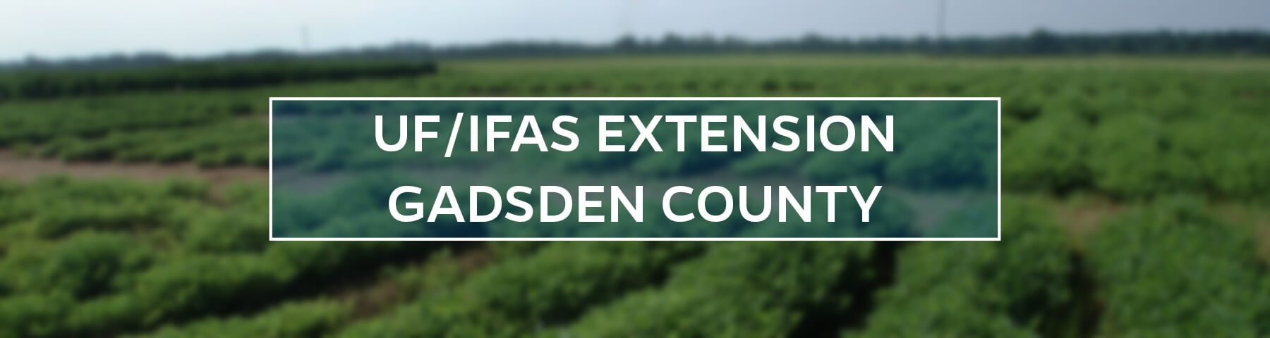 UF/IFAS Extension Gadsden County