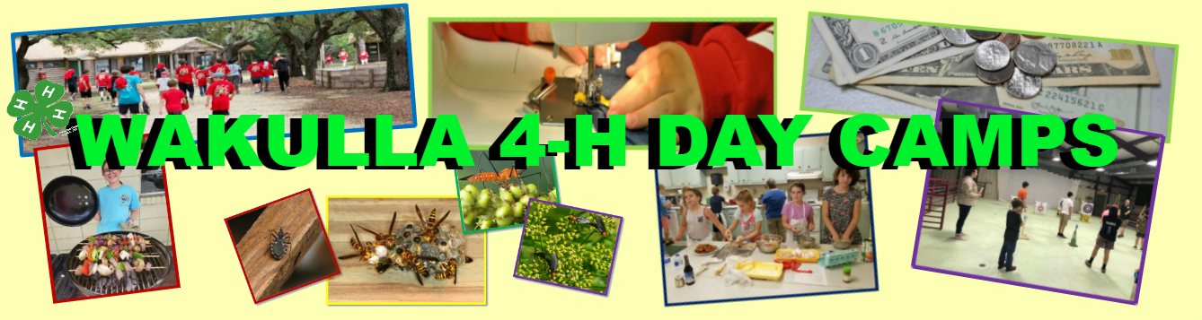 4-H Wakulla Day Camps feat