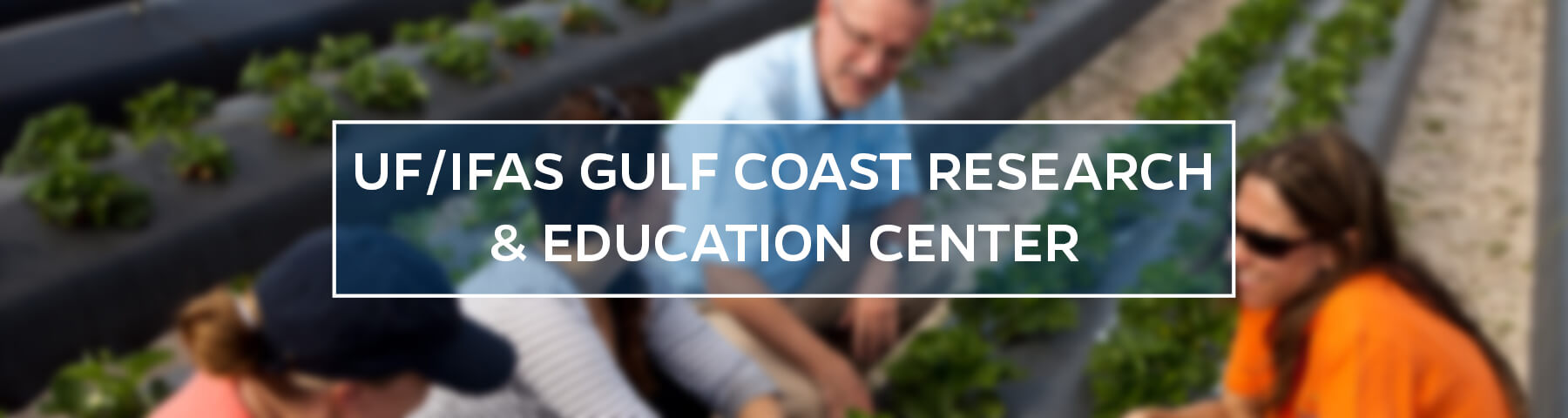 UF/IFAS Gulf Coast Research and Education Center 