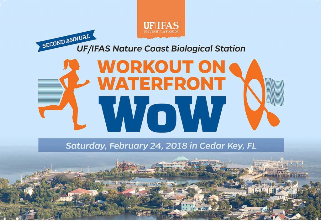 2nd Annual Workout on the Waterfront Feb 24th in Cedar Key