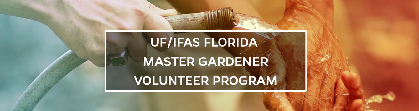 UF/IFAS Florida Master Gardener Volunteer On Blogs.IFAS Header