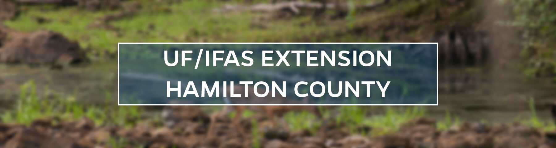 UF/IFAS Extension Hamilton County