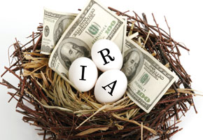 nest with money and eggs that spell IRA