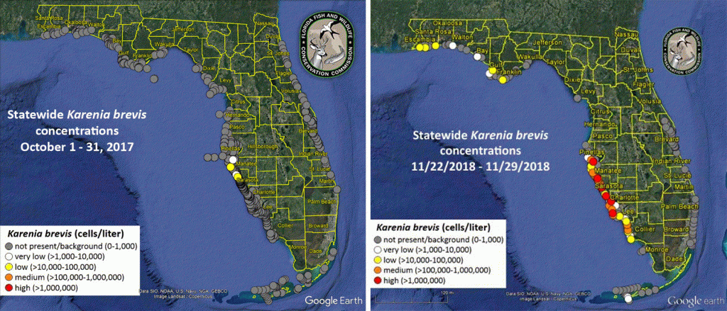 understanding-the-2017-2018-florida-red-tide-uf-ifas-extension-hendry