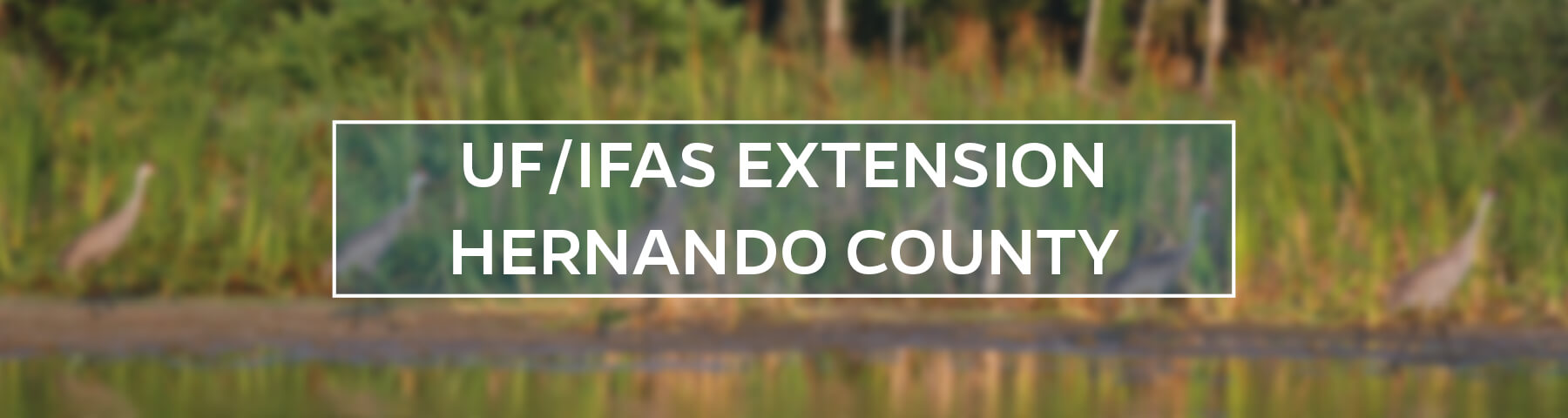 UF/IFAS Extension Hernando County