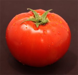 Close up of the large red tomato Garden Treasure