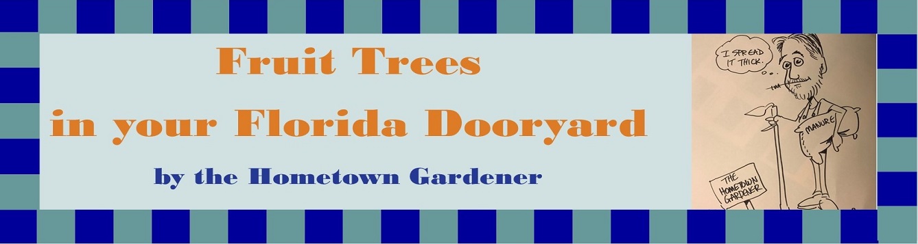 Title page, Fruit trees in your Florida Dooryard