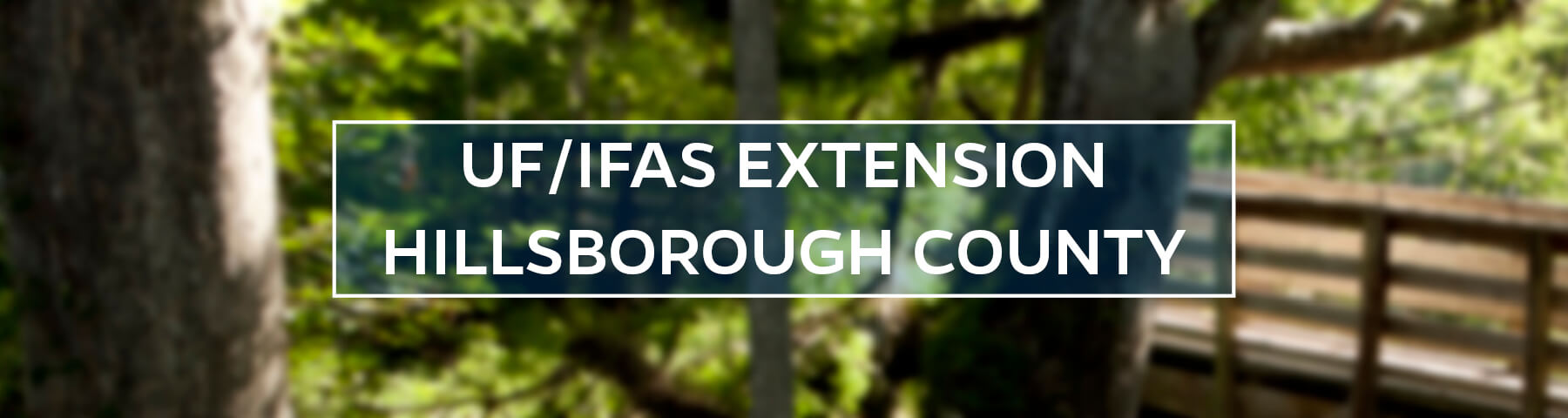 UF/IFAS Extension Hillsborough County